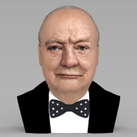 Small Winston Churchill bust ready for full color 3D printing 3D Printing 272691