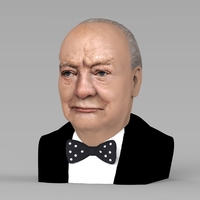 Winston Churchill bust ready for full color 3D printing - Thumbnail 2