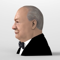 Winston Churchill bust ready for full color 3D printing - Thumbnail 4
