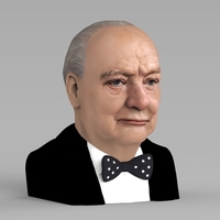 Winston Churchill bust ready for full color 3D printing - Thumbnail 5