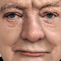 Winston Churchill bust ready for full color 3D printing - Thumbnail 6