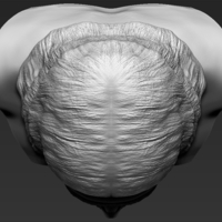 Jesus reconstruction based on Shroud of Turin 3D printing ready - Thumbnail 19