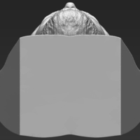 Jesus reconstruction based on Shroud of Turin 3D printing ready - Thumbnail 22