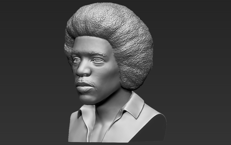 Jimi Hendrix bust 3D printing ready stl obj 3D Print 272755