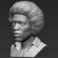 Jimi Hendrix bust 3D printing ready stl obj - Thumbnail 3