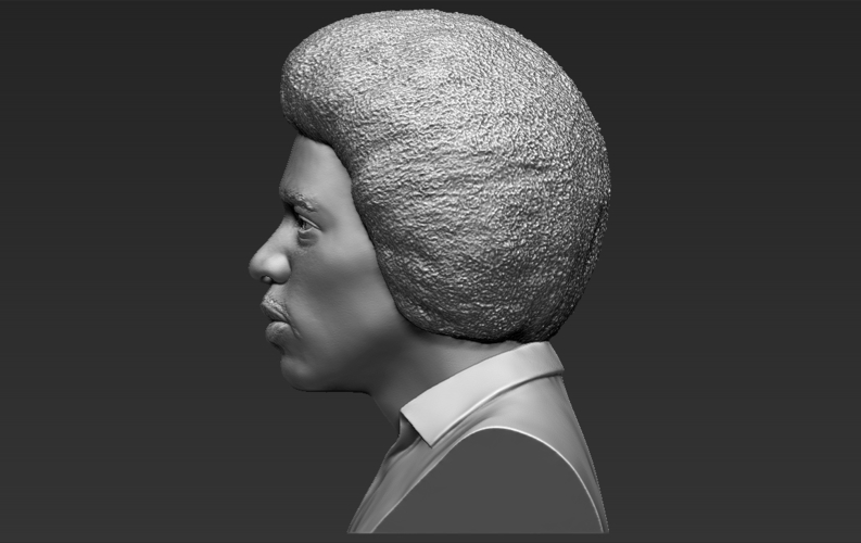 Jimi Hendrix bust 3D printing ready stl obj 3D Print 272756
