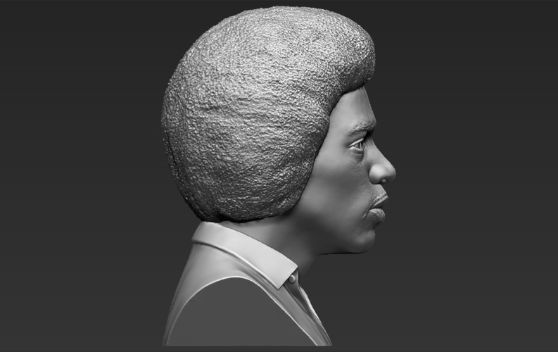 Jimi Hendrix bust 3D printing ready stl obj 3D Print 272761