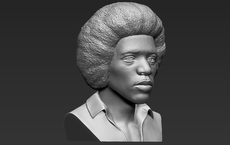 Jimi Hendrix bust 3D printing ready stl obj 3D Print 272762