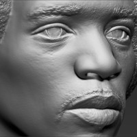 Jimi Hendrix bust 3D printing ready stl obj - Thumbnail 13