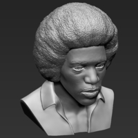 Jimi Hendrix bust 3D printing ready stl obj - Thumbnail 18
