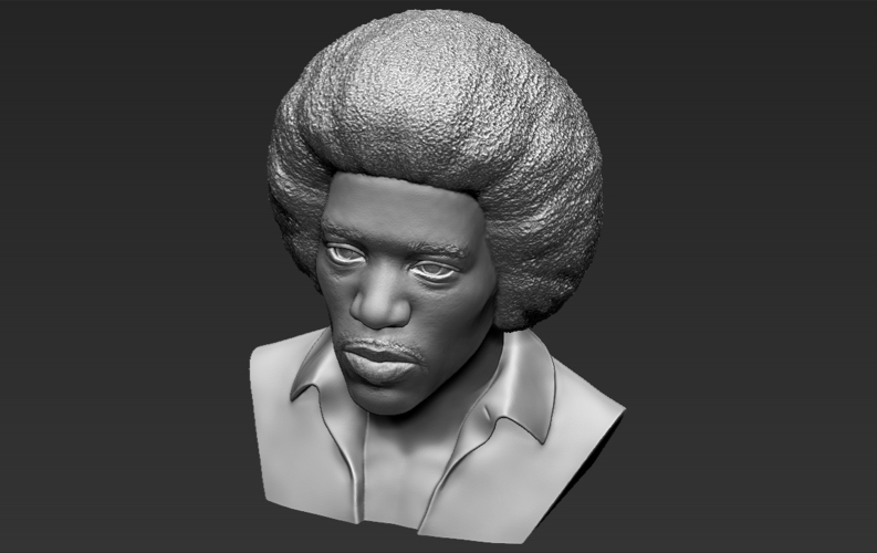 Jimi Hendrix bust 3D printing ready stl obj 3D Print 272771
