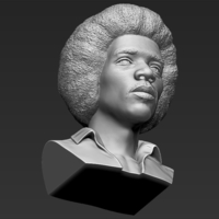 Jimi Hendrix bust 3D printing ready stl obj - Thumbnail 21