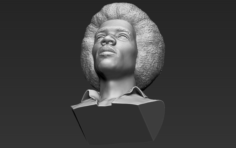 Jimi Hendrix bust 3D printing ready stl obj 3D Print 272774