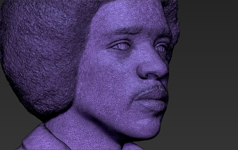 Jimi Hendrix bust 3D printing ready stl obj 3D Print 272776