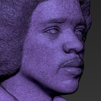 Jimi Hendrix bust 3D printing ready stl obj - Thumbnail 24