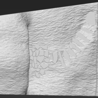 Bag End Shire Lord of the Rings 3D printing ready stl obj - Thumbnail 13