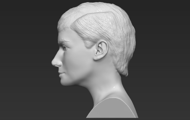 Audrey Hepburn bust 3D printing ready stl obj formats 3D Print 272819