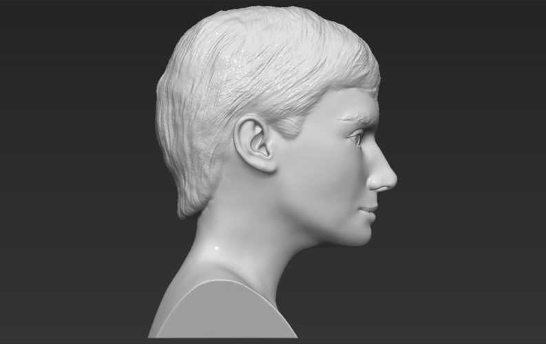 Audrey Hepburn bust 3D printing ready stl obj formats 3D Print 272821