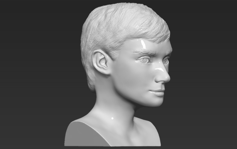 Audrey Hepburn bust 3D printing ready stl obj formats 3D Print 272822