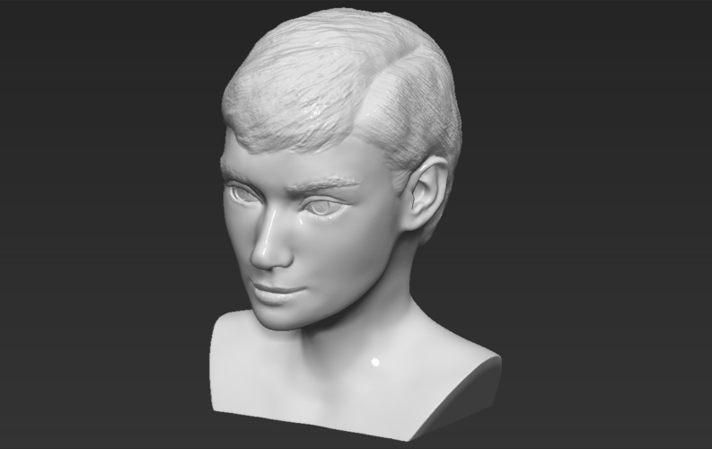 Audrey Hepburn bust 3D printing ready stl obj formats 3D Print 272824