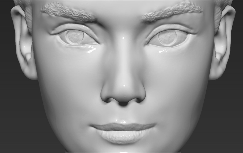 Audrey Hepburn bust 3D printing ready stl obj formats 3D Print 272825