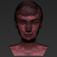 Audrey Hepburn bust 3D printing ready stl obj formats - Thumbnail 13