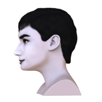 Audrey Hepburn black and white bust for full color 3D printing - Thumbnail 16