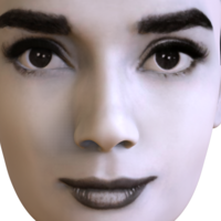 Audrey Hepburn black and white bust for full color 3D printing - Thumbnail 20