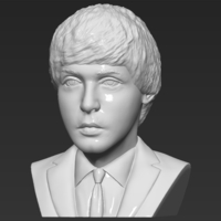 Paul McCartney bust 3D printing ready stl obj - Thumbnail 2
