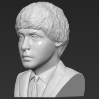 Paul McCartney bust 3D printing ready stl obj - Thumbnail 3