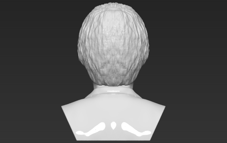 Paul McCartney bust 3D printing ready stl obj 3D Print 272878