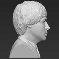 Paul McCartney bust 3D printing ready stl obj - Thumbnail 8