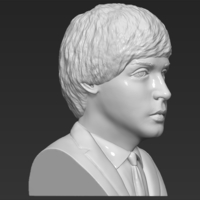 Paul McCartney bust 3D printing ready stl obj - Thumbnail 9
