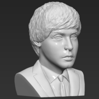 Paul McCartney bust 3D printing ready stl obj - Thumbnail 10