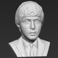 Paul McCartney bust 3D printing ready stl obj - Thumbnail 11