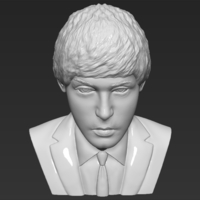 Paul McCartney bust 3D printing ready stl obj - Thumbnail 12