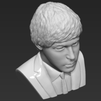 Paul McCartney bust 3D printing ready stl obj - Thumbnail 13