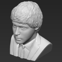 Paul McCartney bust 3D printing ready stl obj - Thumbnail 14