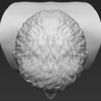 Paul McCartney bust 3D printing ready stl obj - Thumbnail 15