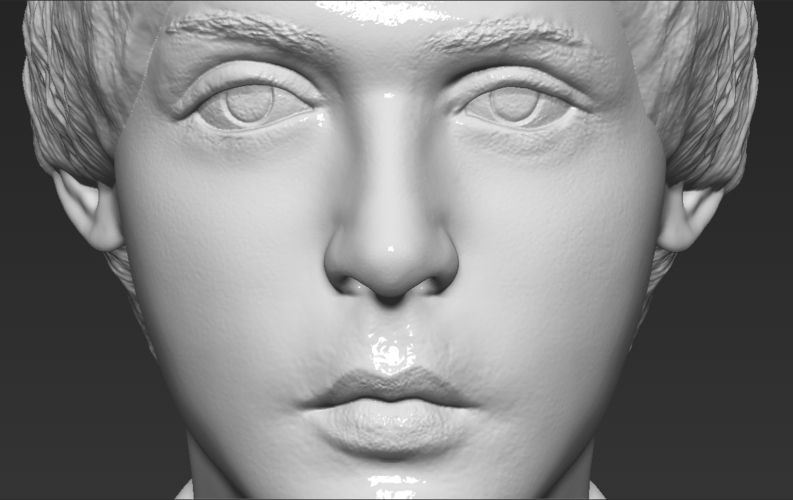 Paul McCartney bust 3D printing ready stl obj 3D Print 272888