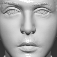 Paul McCartney bust 3D printing ready stl obj - Thumbnail 16