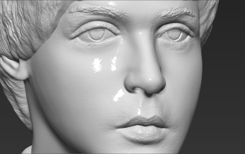 Paul McCartney bust 3D printing ready stl obj 3D Print 272889
