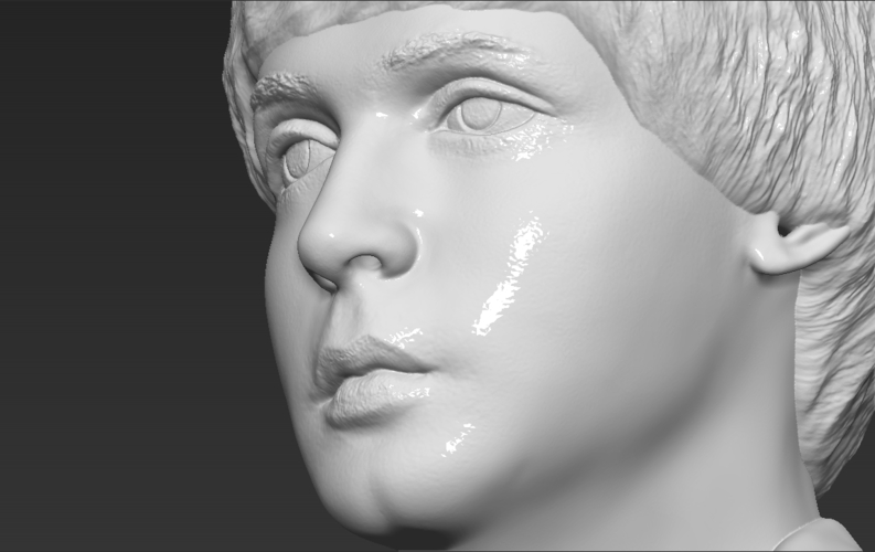 Paul McCartney bust 3D printing ready stl obj 3D Print 272891
