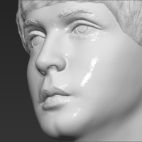 Paul McCartney bust 3D printing ready stl obj - Thumbnail 19