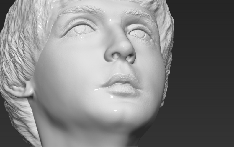 Paul McCartney bust 3D printing ready stl obj 3D Print 272892