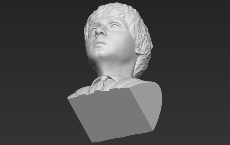 Paul McCartney bust 3D printing ready stl obj 3D Print 272893