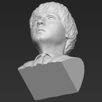 Paul McCartney bust 3D printing ready stl obj - Thumbnail 21