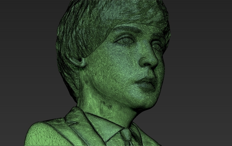 Paul McCartney bust 3D printing ready stl obj 3D Print 272896