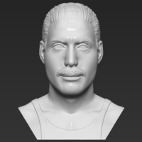 Small Freddie Mercury bust 3D printing ready stl obj formats 3D Printing 272897