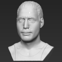 Freddie Mercury bust 3D printing ready stl obj formats - Thumbnail 2
